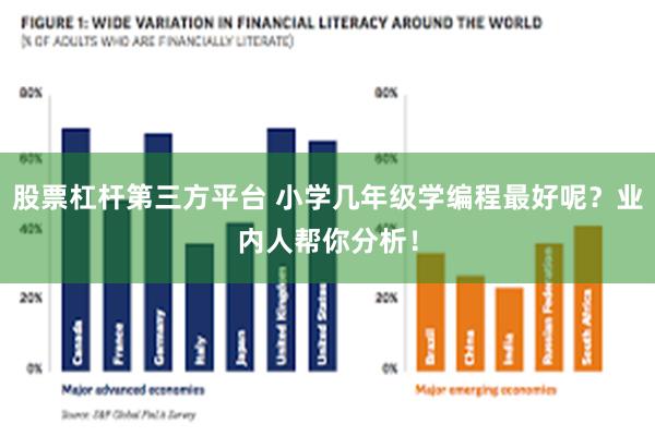 股票杠杆第三方平台 小学几年级学编程最好呢？业内人帮你分析！