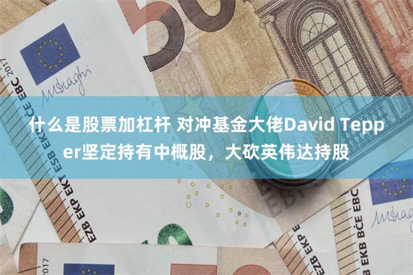 什么是股票加杠杆 对冲基金大佬David Tepper坚定持有中概股，大砍英伟达持股