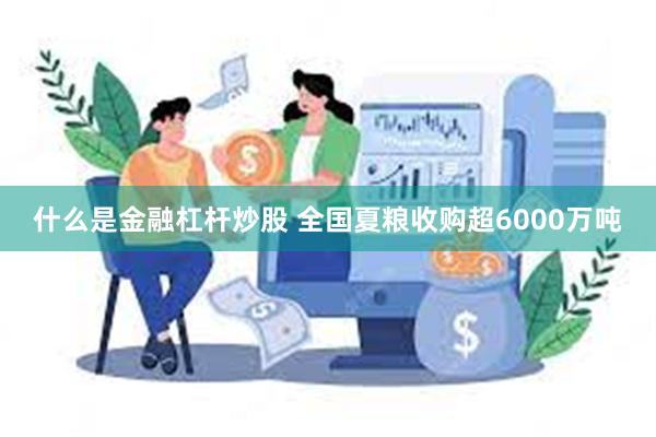 什么是金融杠杆炒股 全国夏粮收购超6000万吨