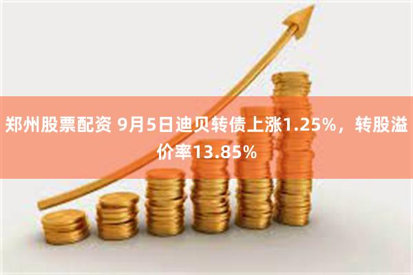 郑州股票配资 9月5日迪贝转债上涨1.25%，转股溢价率13.85%