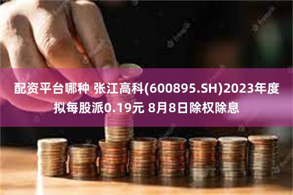 配资平台哪种 张江高科(600895.SH)2023年度拟每股派0.19元 8月8日除权除息