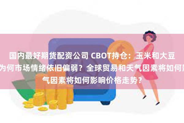 国内最好期货配资公司 CBOT持仓：玉米和大豆净多头增加，为何市场情绪依旧偏弱？全球贸易和天气因素将如何影响价格走势？