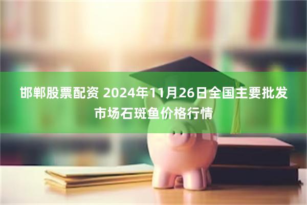 邯郸股票配资 2024年11月26日全国主要批发市场石斑鱼价格行情