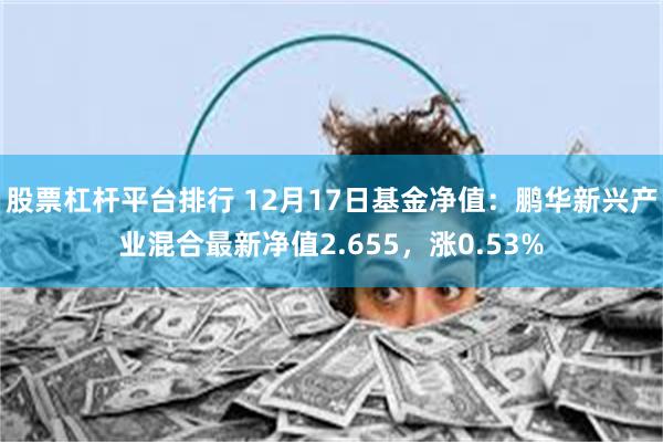 股票杠杆平台排行 12月17日基金净值：鹏华新兴产业混合最新净值2.655，涨0.53%