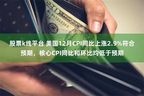 股票k线平台 美国12月CPI同比上涨2.9%符合预期，核心CPI同比和环比均低于预期