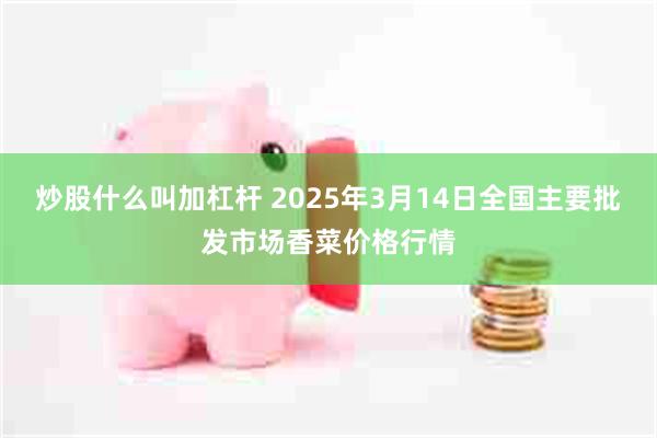 炒股什么叫加杠杆 2025年3月14日全国主要批发市场香菜价格行情